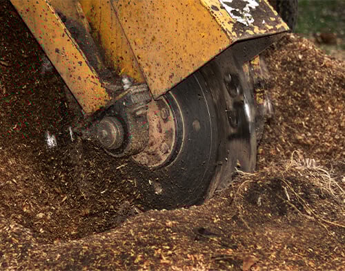 Stump Grinder